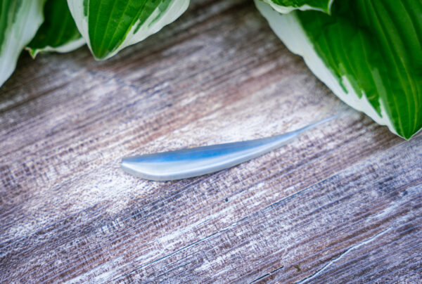 Emerald Shiner Minnow (6pk)