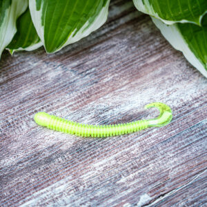 Chartreuse Ringworm (8pk)