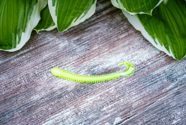 Chartreuse Paddle Tail (6pk) - Image 2