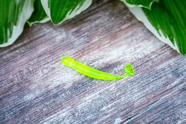 Chartreuse Paddle Tail (6pk)