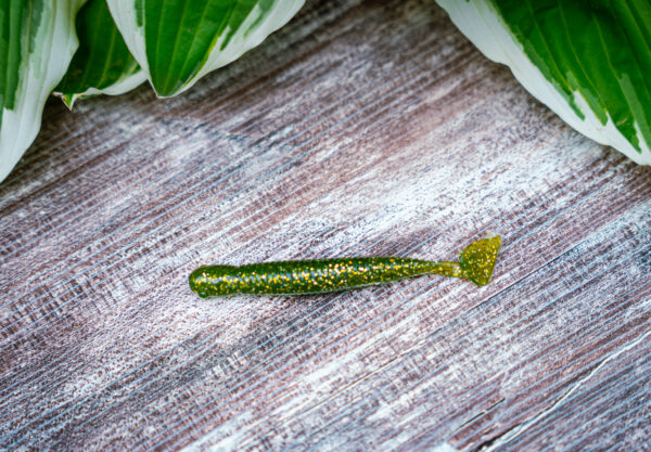 Green Pumpkin Sparkle (6Pk) - Image 2