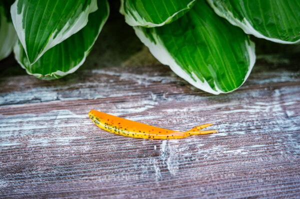 Orange Fire Cracker Minnow (6pk)
